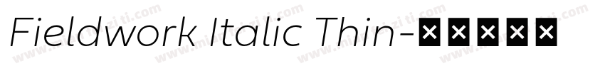 Fieldwork Italic Thin字体转换